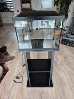 Superfish 50 aquarium(zwart) met meubel en toebehoren., Dieren en Toebehoren, Vissen | Aquaria en Toebehoren, Ophalen, Gebruikt