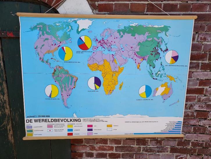 Schoolkaart met overzicht van de wereldbevolking., Antiek en Kunst, Antiek | Schoolplaten, Aardrijkskunde, Ophalen of Verzenden