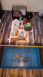 Starterkit hamster/muizen, Dieren en Toebehoren, Minder dan 60 cm, Kooi, Gebruikt, Ophalen of Verzenden