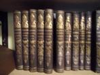 Fraai bruin-gouden bandjes. 12 x Evangelie-Spiegel 1858-1870, Antiek en Kunst, Antiek | Boeken en Bijbels, Ophalen of Verzenden