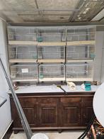 Te koop broed kooitje het zijn de 10 stuks, Dieren en Toebehoren, Ophalen, Zo goed als nieuw, Hout, Broedkooi of Kweekkooi