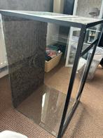 Wimpergekko terrarium, Ophalen, Nieuw, Terrarium of Paludarium