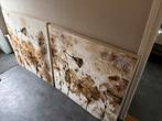 Twee abstracte schilderijen met bloemmotief, Antiek en Kunst, Kunst | Schilderijen | Klassiek, Ophalen of Verzenden