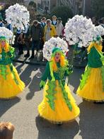 Carnaval loopgroep, Kleding | Dames, Carnavalskleding en Feestkleding, Ophalen, Zo goed als nieuw