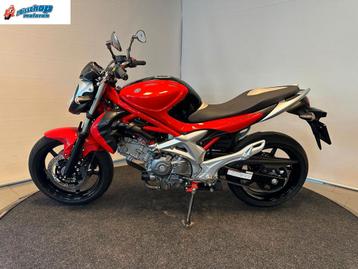 SUZUKI SFV 650 GLADIUS ABS (bj 2011) beschikbaar voor biedingen