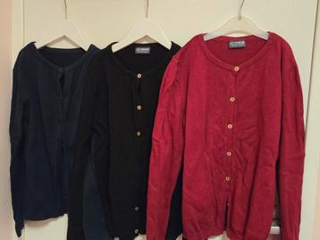 Warme vestenbundel | LC Waikiki | Maat 134–140 (9–10 jaar) beschikbaar voor biedingen