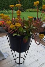 Plantenbak,   retro , vintage plantenrek, bloembak vintage,, Ophalen, Gebruikt, Minder dan 60 cm, Rond