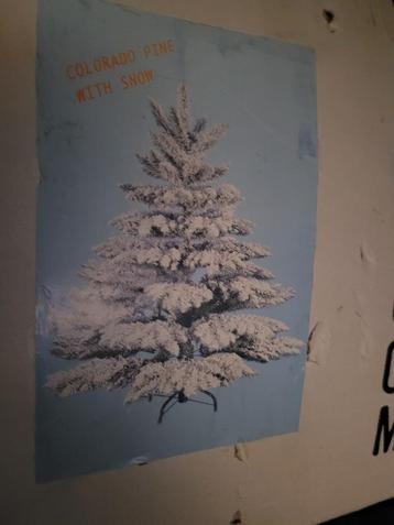 KERSTBOOM beschikbaar voor biedingen