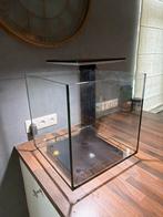 Superfish Qubiq 60 aquarium 40 x 40 cm, Ophalen, Gebruikt, Leeg aquarium