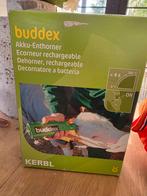 Onthoorner buddex, Vrouwelijk, Geit