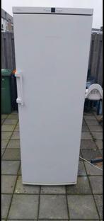 Xxl Liebherr Vrieskast  no frost A++, Vrieskast, Zo goed als nieuw, Energieklasse A of zuiniger, 160 cm of meer
