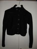 Vestje van D-zine maat 176, Ophalen of Verzenden, Zo goed als nieuw, Meisje, Trui of Vest