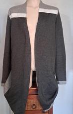 Expresso dames lang vest maat xs, Kleding | Dames, Truien en Vesten, Expresso, Ophalen of Verzenden, Maat 34 (XS) of kleiner, Grijs