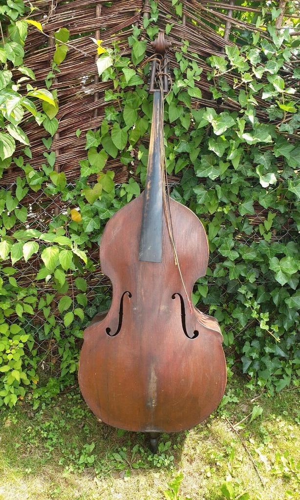Oude kapotte Contrabas GEZOCHT, Muziek en Instrumenten, Strijkinstrumenten | Contrabassen, Ophalen