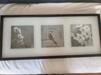 FOTOLIJSTJE 3X PICTURE, Ophalen, Minder dan 50 cm, 50 tot 75 cm, Nieuw
