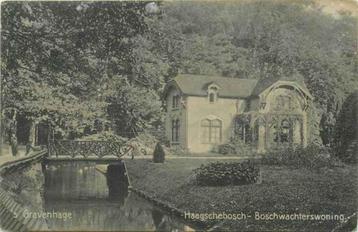 (301-206-043) Den Haag Haagsche Bosch beschikbaar voor biedingen
