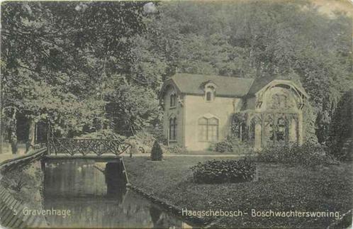 (301-206-043) Den Haag Haagsche Bosch, Verzamelen, Ansichtkaarten | Nederland, Zuid-Holland, Verzenden