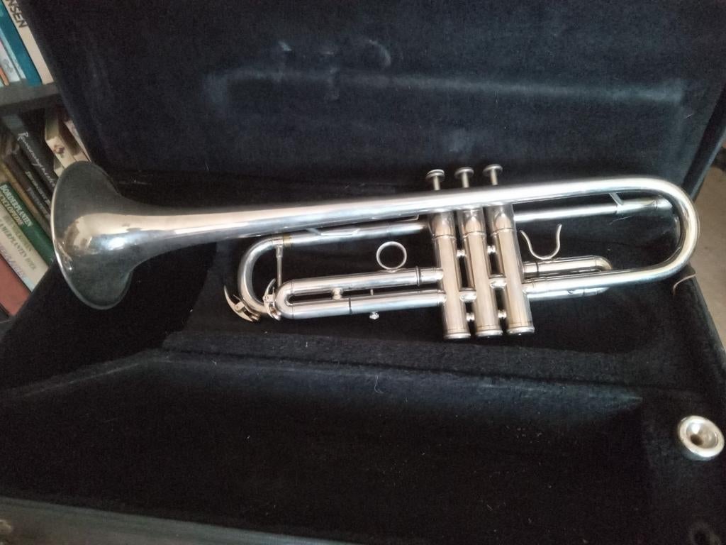 Bes-trompet met mondstuk en koffer - Goed bespeelbaar, Ophalen of Verzenden, Gebruikt, Bes-trompet, Met koffer