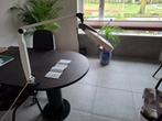Waldmann loeplamp voor precisiewerk, Ophalen, Gebruikt, Loeplamp