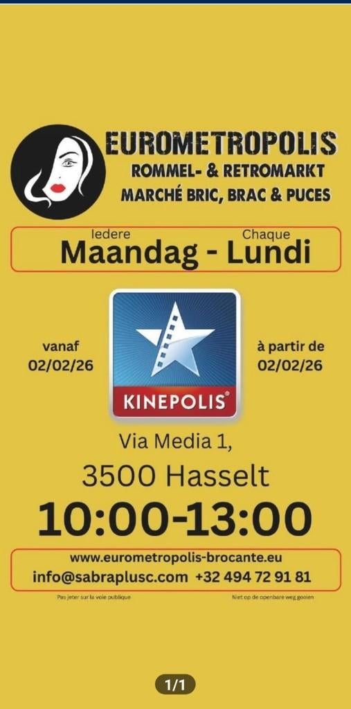 Elke maandag in Hasselt: de betere Antiek en Brocante!, Antiek en Kunst, Curiosa en Brocante, Ophalen of Verzenden