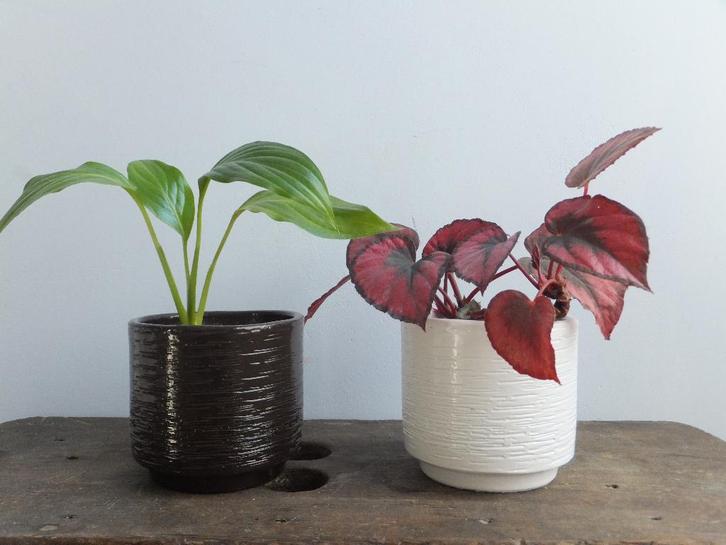 gratis verzenden 2x mooie vintage bloempotjes kurkstructuur, Huis en Inrichting, Woonaccessoires | Overige, Verzenden