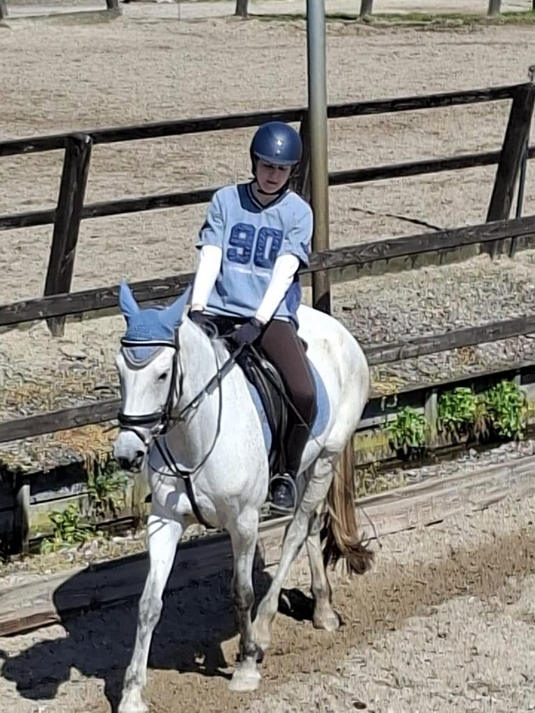 Bijrijd paardje gezocht, Dieren en Toebehoren, Ophalen