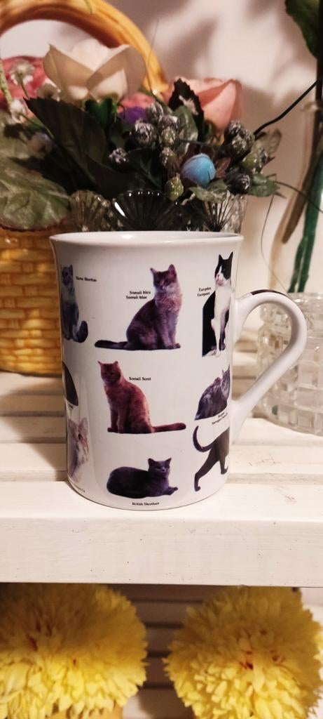 Superleuke Katten mok, Dieren en Toebehoren, Ophalen of Verzenden