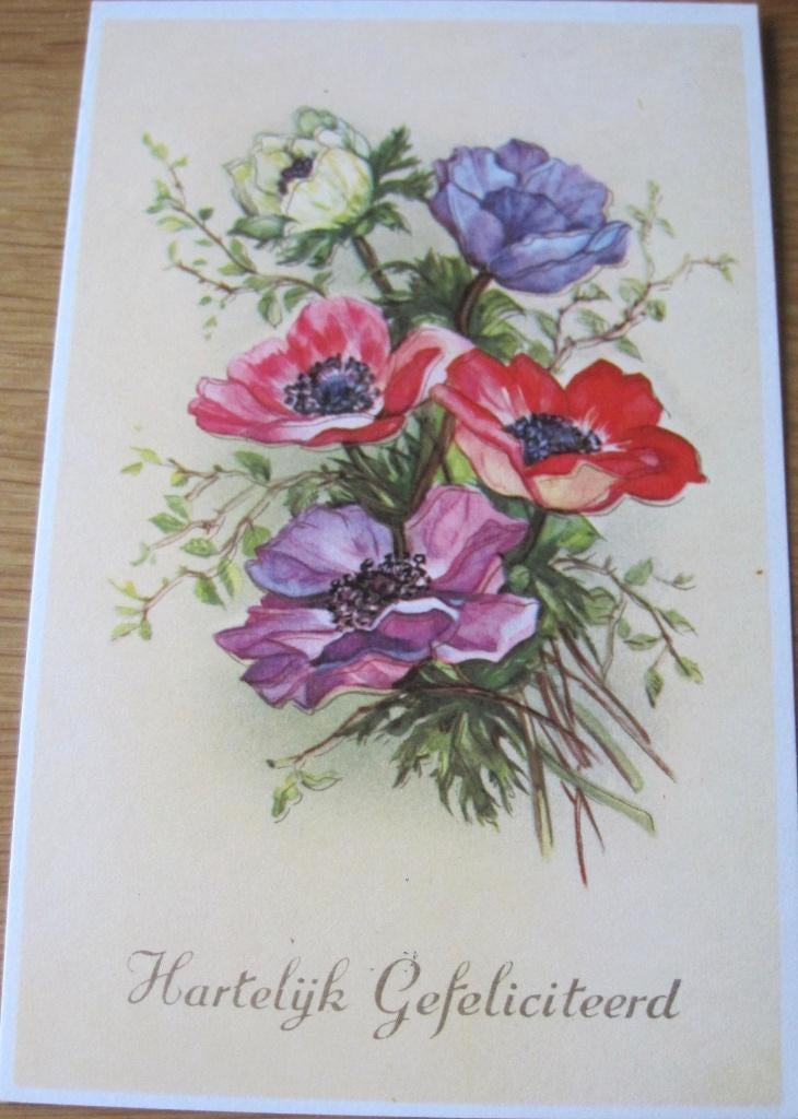 Hartelijk gefeliciteerd - anemonen - zestiger jaren - nieuw, Verzenden, 1960 tot 1980, Ongelopen, Overige thema's