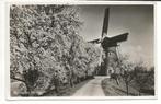 BF56-Hollandse Molen,bloesembomen, Verzenden, 1940 tot 1960, Ongelopen, Zuid-Holland