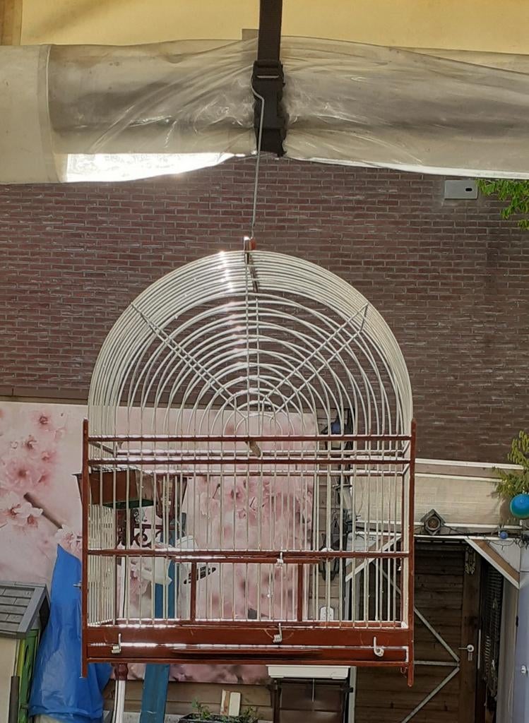 Twatwa  kooi, Dieren en Toebehoren, Ophalen of Verzenden, Hout, Vogelkooi