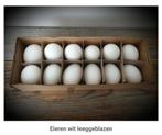 Eieren wit leeg geblazen  - 12 stuks - pasen - ei - voorjaar, Ophalen of Verzenden, Nieuw