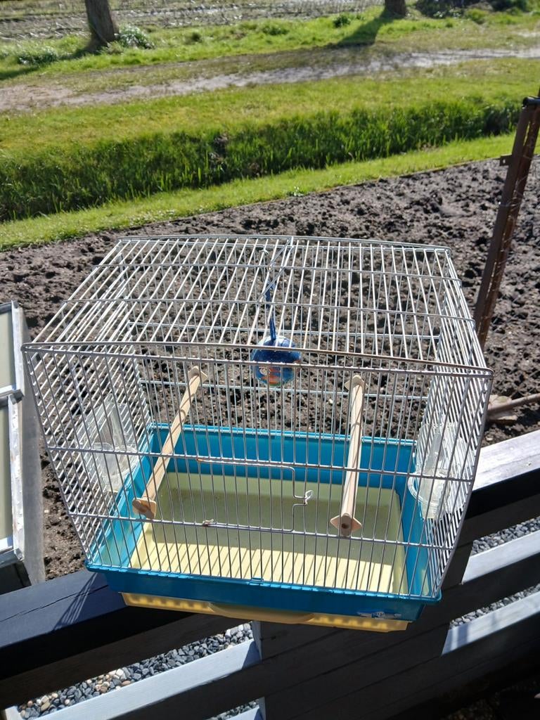 Tk Mooie complete vogelkooi 15 euro, Dieren en Toebehoren, Ophalen of Verzenden, Zo goed als nieuw, Metaal, Vogelkooi