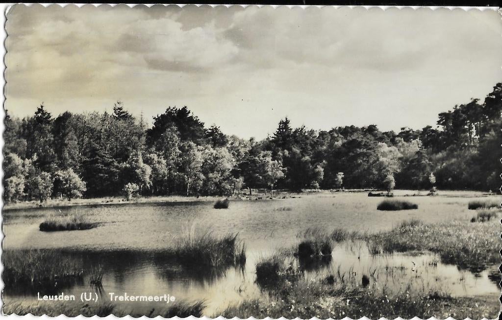 Leusden, Trekermeertje, meer, Verzamelen, Ansichtkaarten | Nederland, Verzenden, 1940 tot 1960, Gelopen, Utrecht