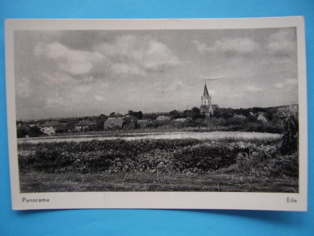 Ede,  Panorama, Ophalen of Verzenden, Voor 1920, Gelderland