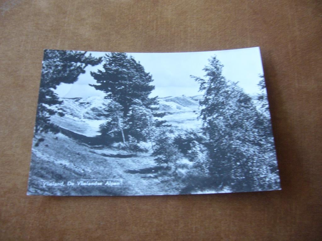 VLIELAND   =  DE VLIELANDSE ALPEN, Ophalen of Verzenden, 1940 tot 1960, Gelopen, Waddeneilanden