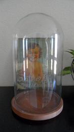 Grote glazen stolp met onderbord MICA, Ophalen, Zo goed als nieuw