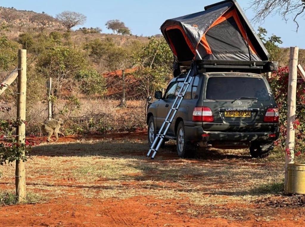 MG Rooftent 145 HARD-top | DAKTENT VOORDEELDAGEN, Caravans en Kamperen, Tenten, Ophalen, Nieuw, Tot en met 2