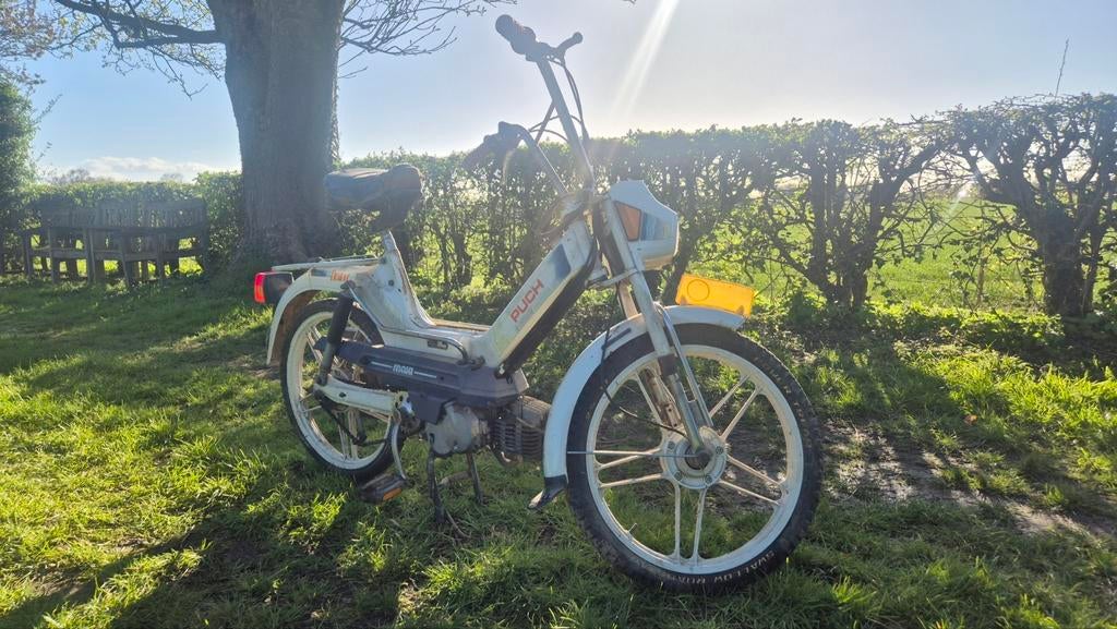 Puch maxi S pearly project, Fietsen en Brommers, Brommers | Puch, Ophalen, Gebruikt, Maxi