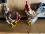Setje kip en haan, Verzamelen, Beelden en Beeldjes, Ophalen, Zo goed als nieuw, Dier