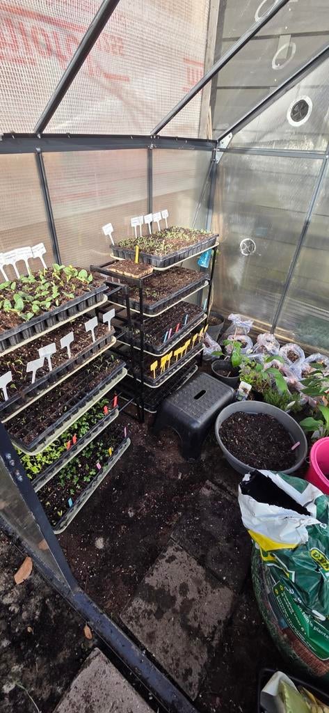 Moestuin plantjes, kruiden en bloemen biologisch, Ophalen, Glas, Nieuw, Aluminium
