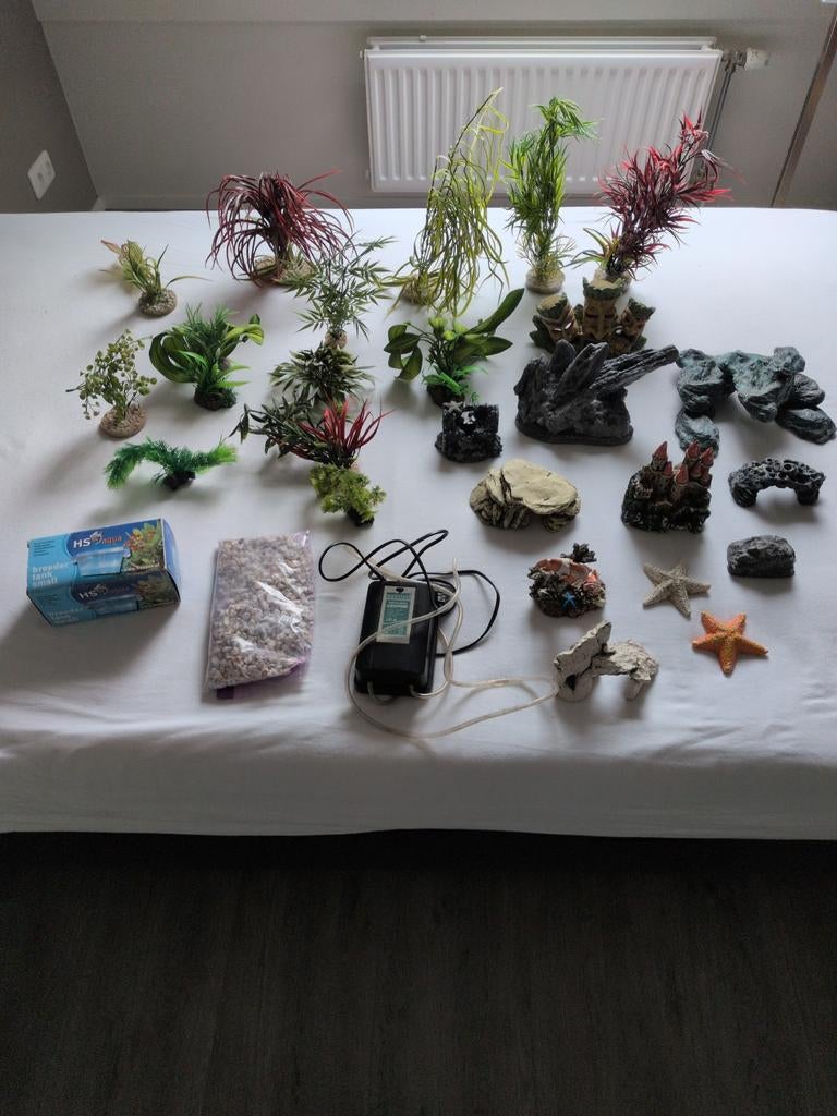 Aquarium accessoires, Ophalen, Plant(en), Steen of Hout