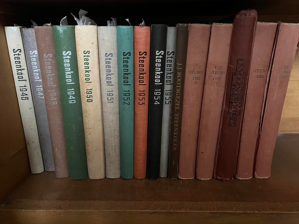 Staatsmijnen boeken en uitgaven, Ophalen of Verzenden, Gelezen, Overige