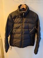 Tommy Hilfiger Ski Jas - Nette Staat, Kleding | Dames, Maat 38/40 (M), Ophalen of Verzenden, Jack, Gedragen