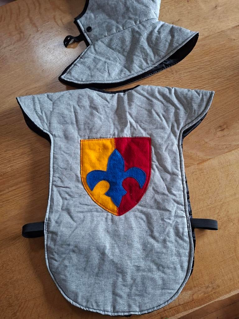 Verkleedpak ridder 4-7 jaar, Kinderen en Baby's, Carnavalskleding en Verkleedspullen, Ophalen, Zo goed als nieuw, Jongen of Meisje