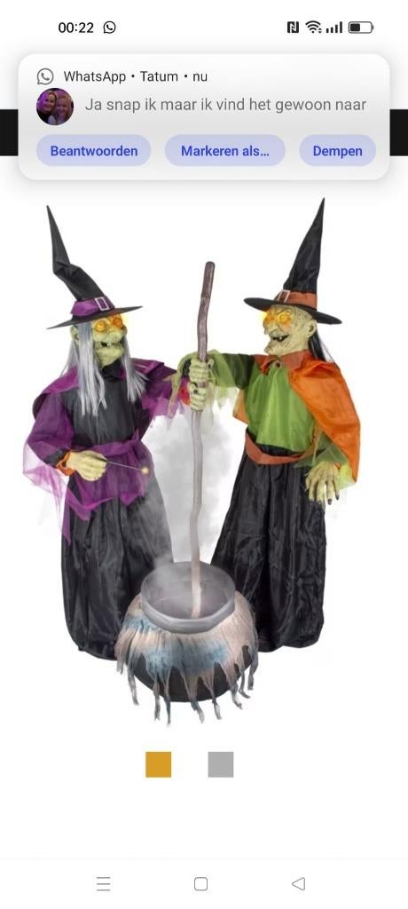 halloween, Ophalen, Zo goed als nieuw, Feestartikel, Halloween of Griezel