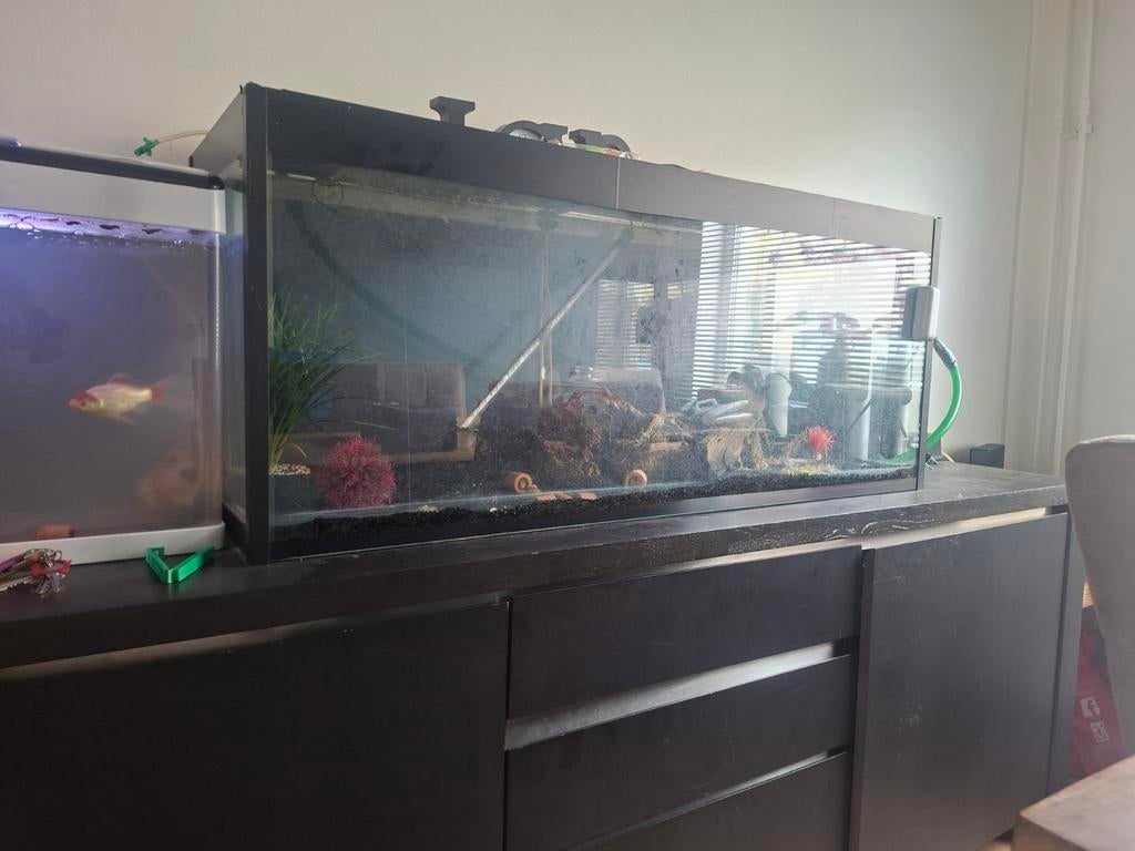 Aquarium 250 liter, Dieren en Toebehoren, Vissen | Aquaria en Toebehoren, Ophalen, Leeg aquarium