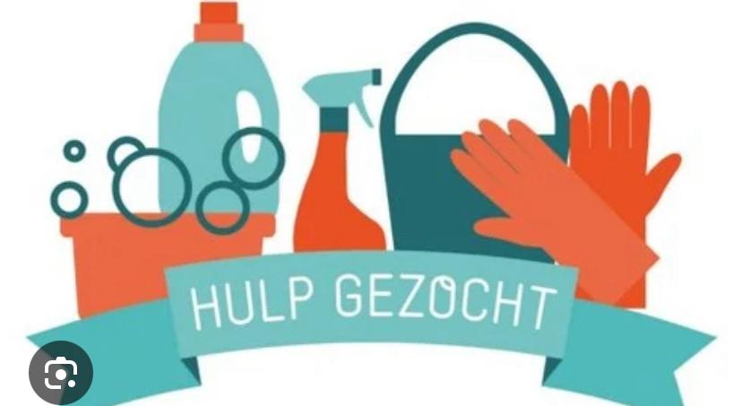 Huishoudelijke hulp gezocht, Overige niveaus, Starter, Overige vormen