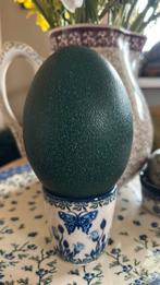 Prachtige verse emoe eieren onbevrucht, Ophalen of Verzenden, Nieuw, Overige typen