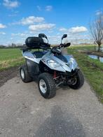 Quad E-ton vector 300cc met kenteken!