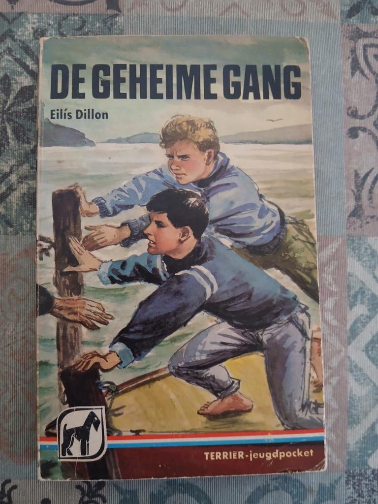 De geheime gang | Eilís Dillon, Ophalen of Verzenden, Zo goed als nieuw